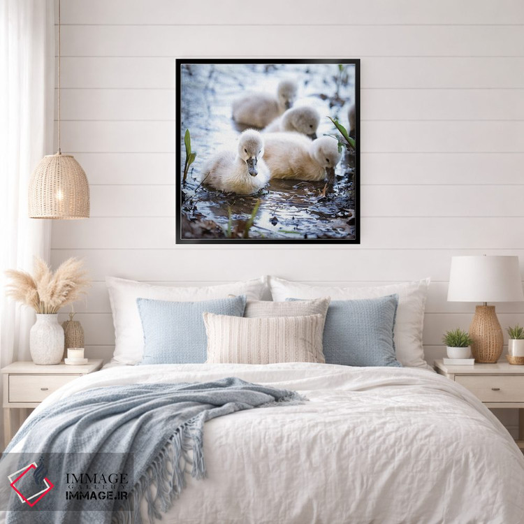 تابلو دکوراتیو قوهای کوچک اثر کارن بورک - D6B