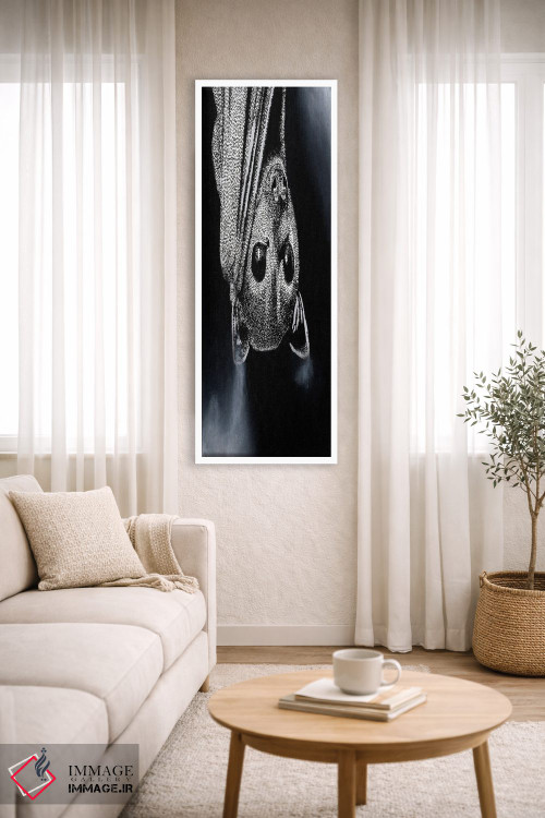 تابلو دکوراتیو روباه پرنده اثر کلسی امبلو - D3W