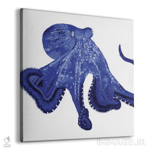 تابلو دکوراتیو اختاپوس اثر کلسی امبلو - نمای پرسپکتیو محصول