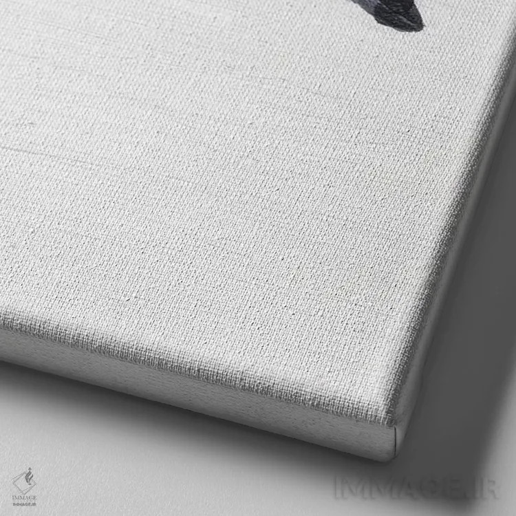 تابلو دکوراتیو کوسه سفید بزرگ قدرت خاموش اثر کلسی امبلو - نمای نزدیک بافت بوم