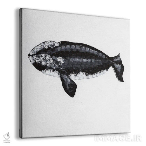 تابلو دکوراتیو نهنگ راست، آواز اعماق اثر کلسی امبلو - نمای پرسپکتیو محصول