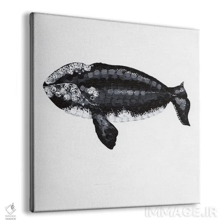 تابلو دکوراتیو نهنگ راست، آواز اعماق اثر کلسی امبلو - نمای پرسپکتیو محصول