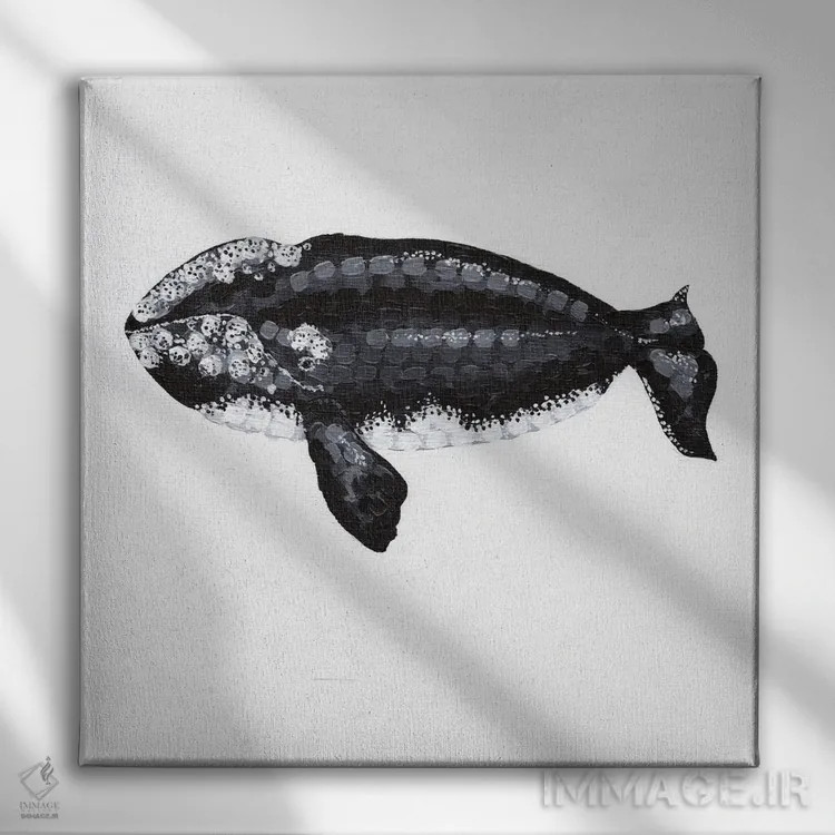 تابلو دکوراتیو نهنگ راست، آواز اعماق اثر کلسی امبلو - نمای روبهرو روی دیوار