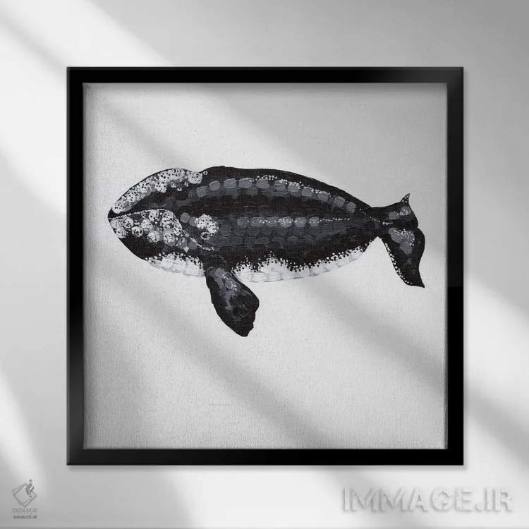 تابلو دکوراتیو نهنگ راست، آواز اعماق اثر کلسی امبلو - نمای قابدار مشکی