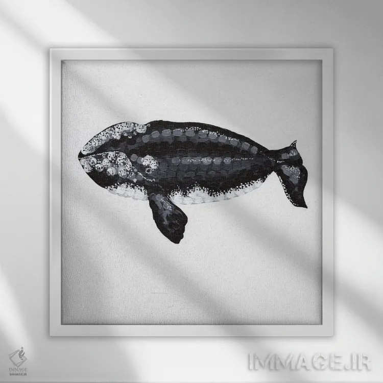 تابلو دکوراتیو نهنگ راست، آواز اعماق اثر کلسی امبلو - نمای قابدار سفید
