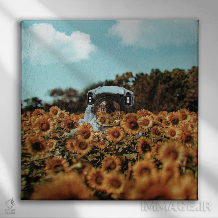 تابلو دکوراتیو بابت مزاحمت عذر می خواهم اثر کارن کانتوک - نمای روبهرو روی دیوار