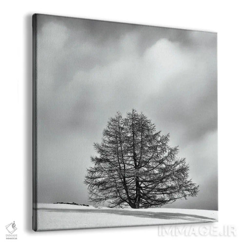تابلو دکوراتیو درخت تنها میان ابر و برف اثر کریم کارلا - نمای پرسپکتیو محصول