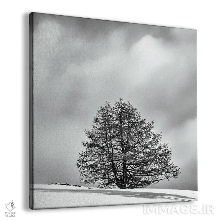 تابلو دکوراتیو درخت تنها میان ابر و برف اثر کریم کارلا - نمای پرسپکتیو محصول