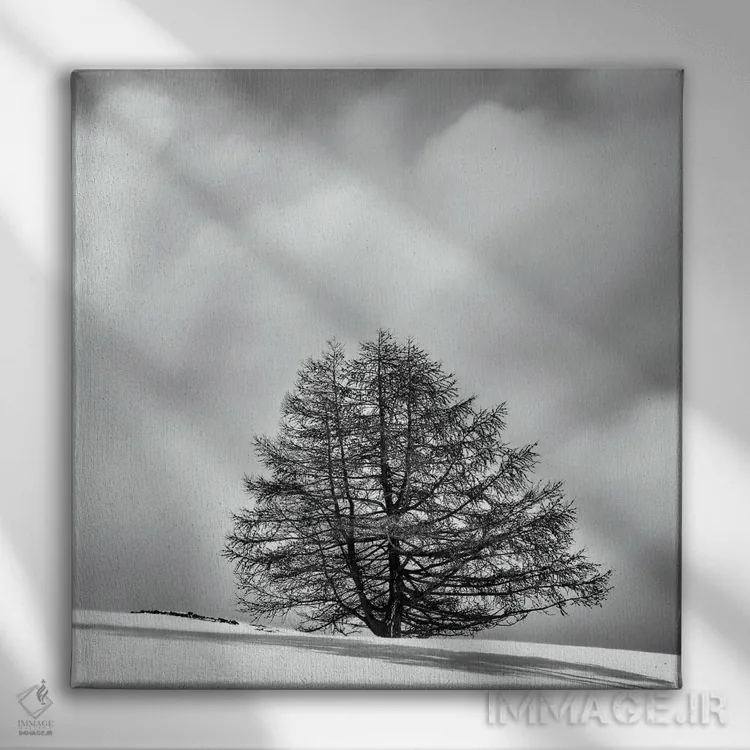 تابلو دکوراتیو درخت تنها میان ابر و برف اثر کریم کارلا - نمای روبهرو روی دیوار
