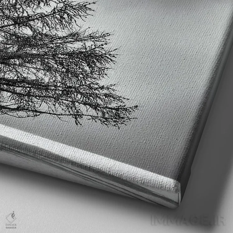 تابلو دکوراتیو درخت تنها میان ابر و برف اثر کریم کارلا - نمای نزدیک بافت بوم