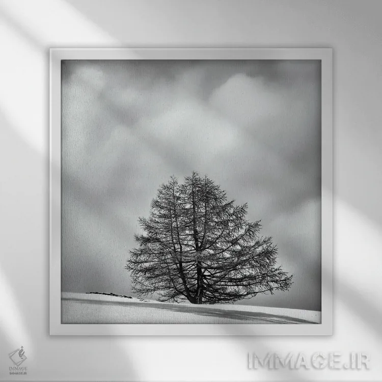 تابلو دکوراتیو درخت تنها میان ابر و برف اثر کریم کارلا - نمای قابدار سفید