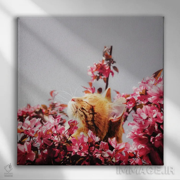 تابلو دکوراتیو امروز خیلی به تو فکر کردم اثر کارن کانتوک - نمای روبهرو روی دیوار