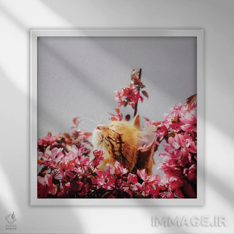 تابلو دکوراتیو امروز خیلی به تو فکر کردم اثر کارن کانتوک - نمای قابدار سفید