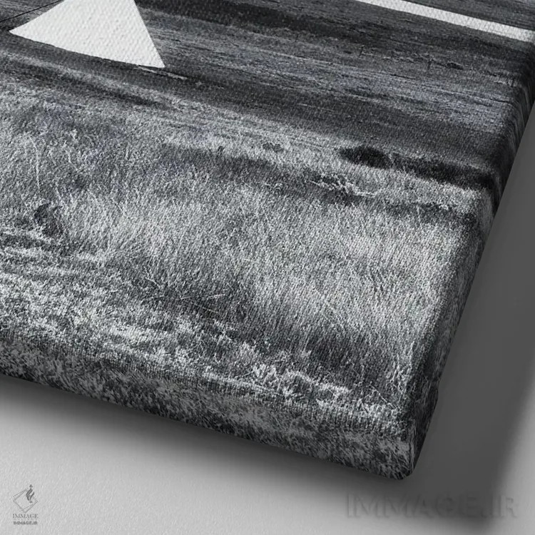 تابلو دکوراتیو چهار تیپی اثر کریم کارلا - نمای نزدیک بافت بوم