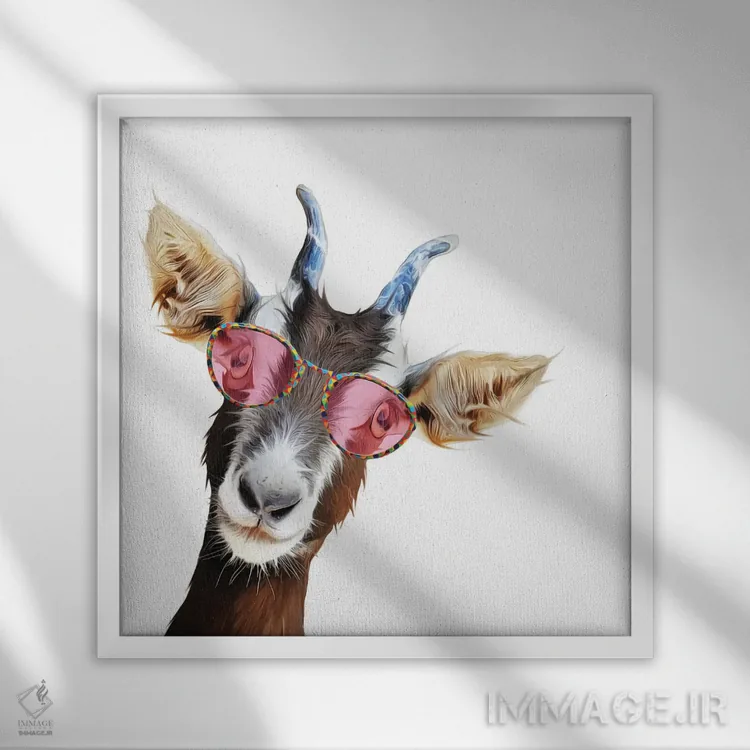 تابلو دکوراتیو بز بامزه اثر کیم کورینگا - نمای قابدار سفید