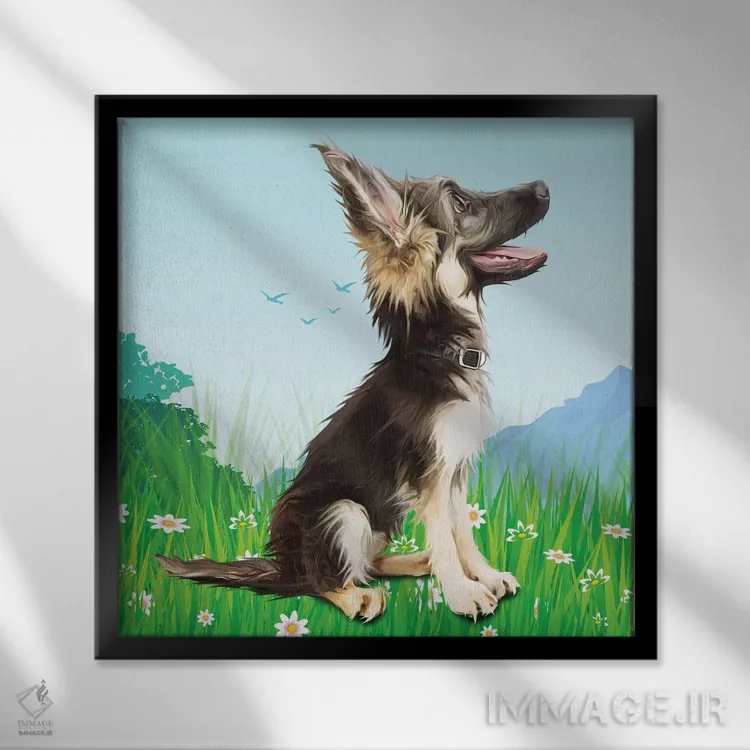 تابلو دکوراتیو سگ گله رو به آسمان اثر کیم کورینگا - نمای قابدار مشکی