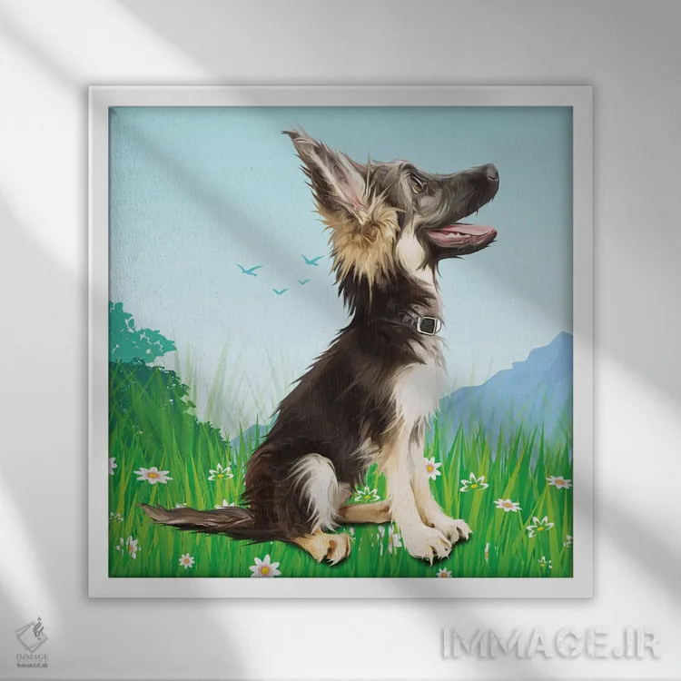 تابلو دکوراتیو سگ گله رو به آسمان اثر کیم کورینگا - نمای قابدار سفید
