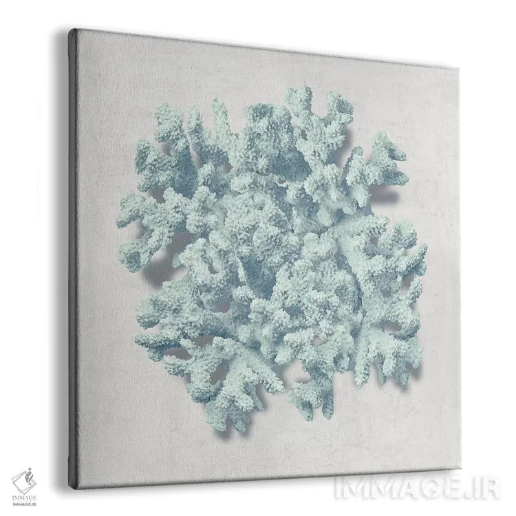 تابلو دکوراتیو نعناع مرجانی II اثر کارولین کلی - نمای پرسپکتیو محصول