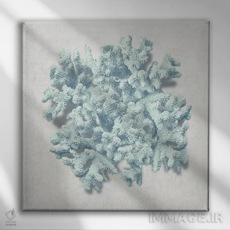 تابلو دکوراتیو نعناع مرجانی II اثر کارولین کلی - نمای روبهرو روی دیوار