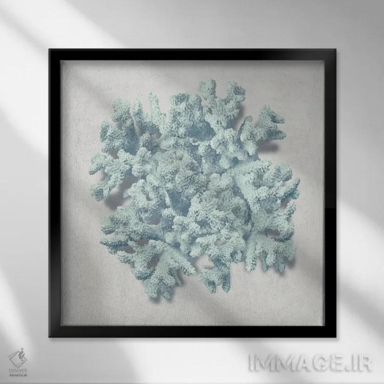 تابلو دکوراتیو نعناع مرجانی II اثر کارولین کلی - نمای قابدار مشکی