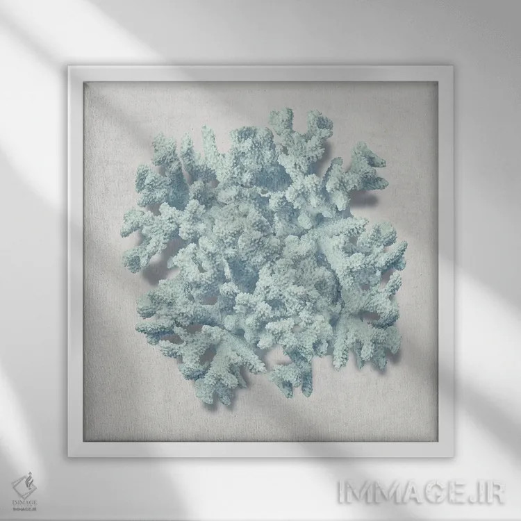 تابلو دکوراتیو نعناع مرجانی II اثر کارولین کلی - نمای قابدار سفید