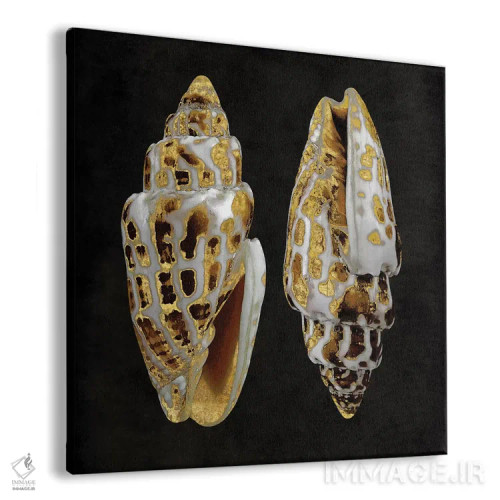 تابلو دکوراتیو جواهرات طلایی اقیانوس I اثر کارولین کلی - نمای پرسپکتیو محصول