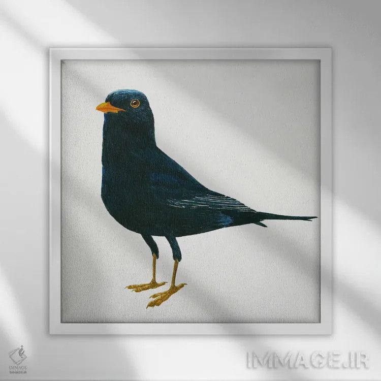 تابلو دکوراتیو ماندن توکای سیاه اثر کارینا دانیلچوک - نمای قابدار سفید