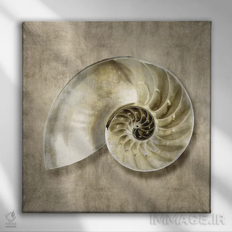 تابلو دکوراتیو موجودات دریایی طلایی IV اثر کارولین کلی - نمای روبهرو روی دیوار