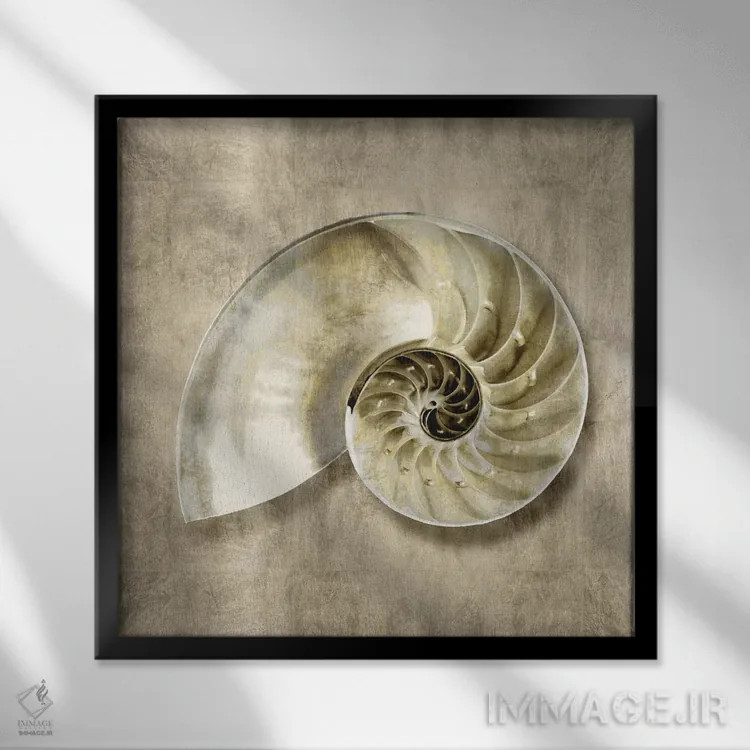 تابلو دکوراتیو موجودات دریایی طلایی IV اثر کارولین کلی - نمای قابدار مشکی