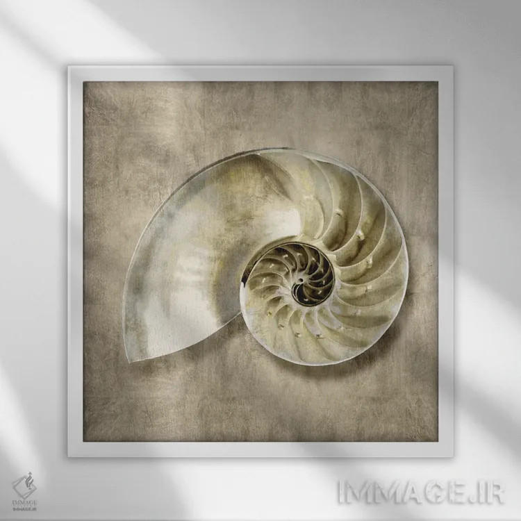 تابلو دکوراتیو موجودات دریایی طلایی IV اثر کارولین کلی - نمای قابدار سفید