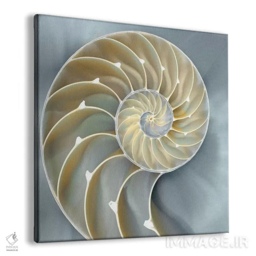 تابلو دکوراتیو ناتیلوس در آبی I اثر کارولین کلی - نمای پرسپکتیو محصول