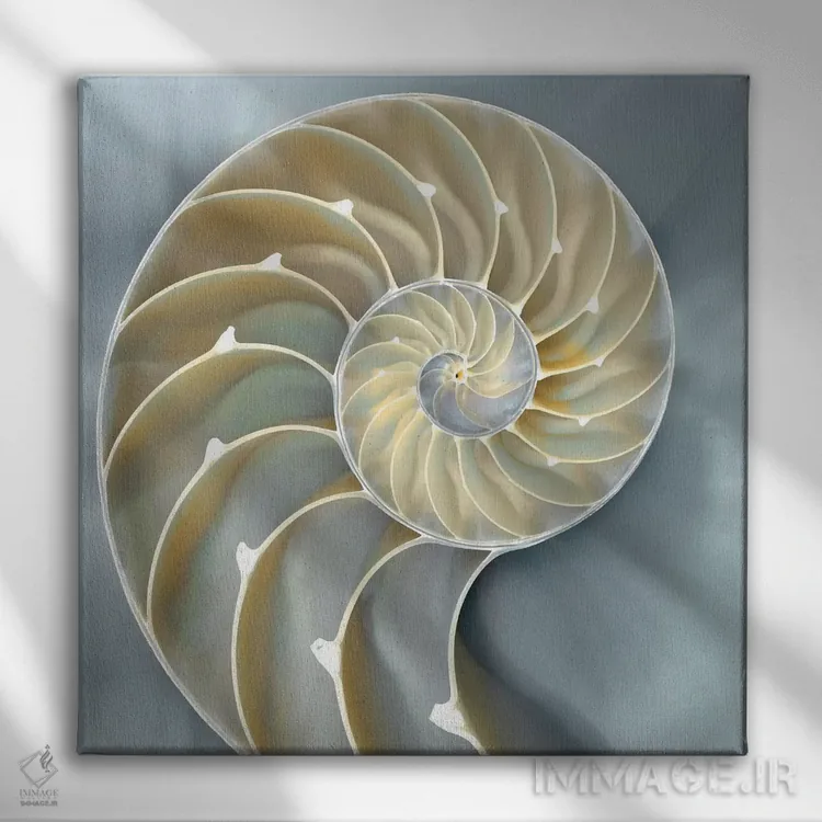 تابلو دکوراتیو ناتیلوس در آبی I اثر کارولین کلی - نمای روبهرو روی دیوار