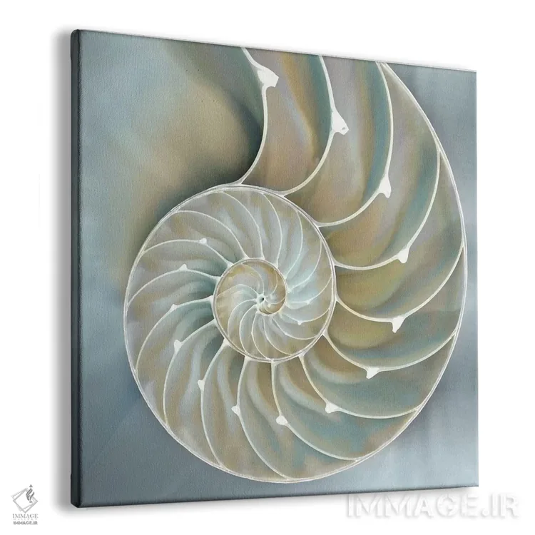 تابلو دکوراتیو ناتیلوس در آبی II اثر کارولین کلی - نمای پرسپکتیو محصول