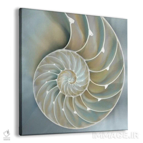 تابلو دکوراتیو ناتیلوس در آبی II اثر کارولین کلی - نمای پرسپکتیو محصول