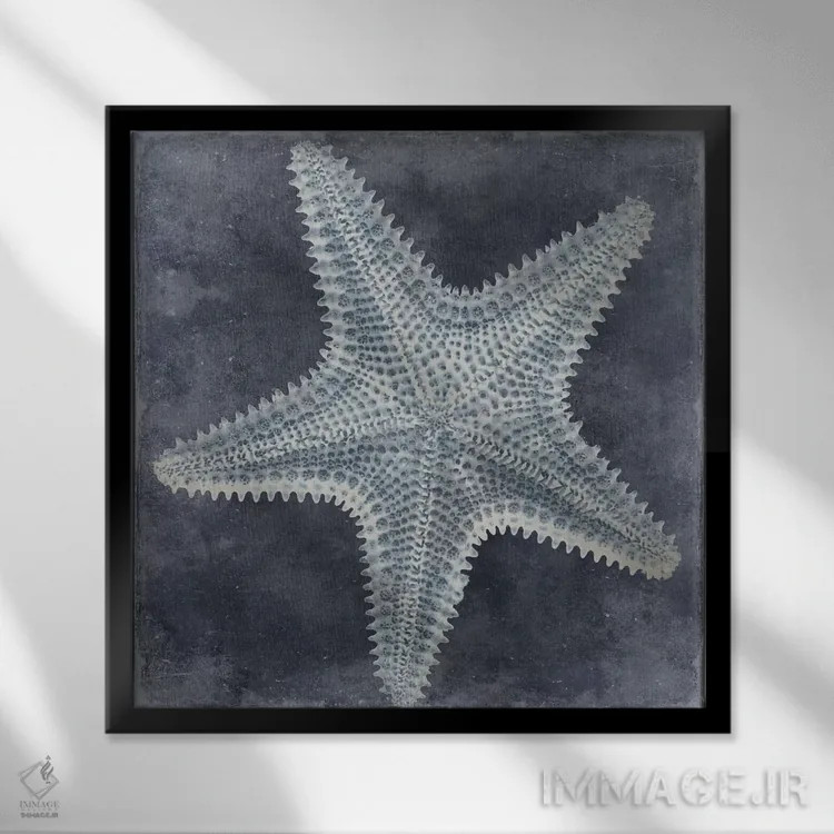 تابلو دکوراتیو آبی اقیانوس I اثر کارولین کلی - نمای قابدار مشکی
