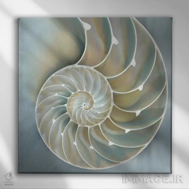 تابلو دکوراتیو ناتیلوس در آبی II اثر کارولین کلی - نمای روبهرو روی دیوار