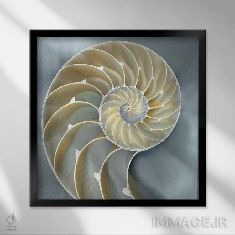 تابلو دکوراتیو ناتیلوس در آبی I اثر کارولین کلی - نمای قابدار مشکی