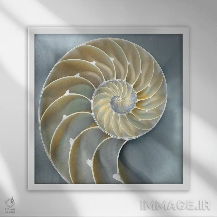 تابلو دکوراتیو ناتیلوس در آبی I اثر کارولین کلی - نمای قابدار سفید
