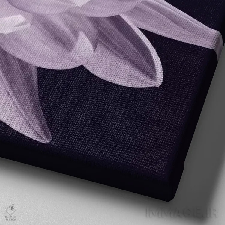 تابلو دکوراتیو دالیا سفید I اثر کارولین کلی - نمای نزدیک بافت بوم