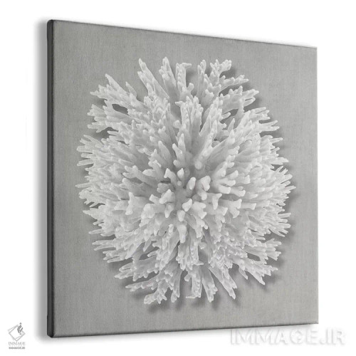 تابلو دکوراتیو مرجان روی خاکستری I اثر کارولین کلی - نمای پرسپکتیو محصول