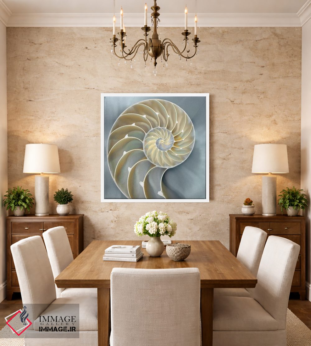 تابلو دکوراتیو ناتیلوس در آبی I اثر کارولین کلی - D4W