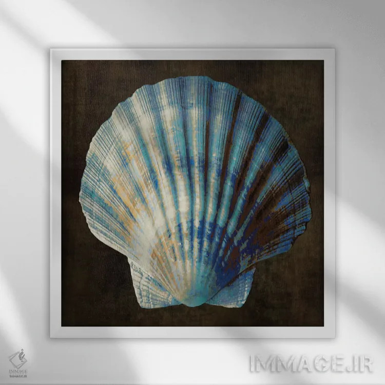 تابلو دکوراتیو گنجینه اقیانوس II اثر کارولین کلی - نمای قابدار سفید