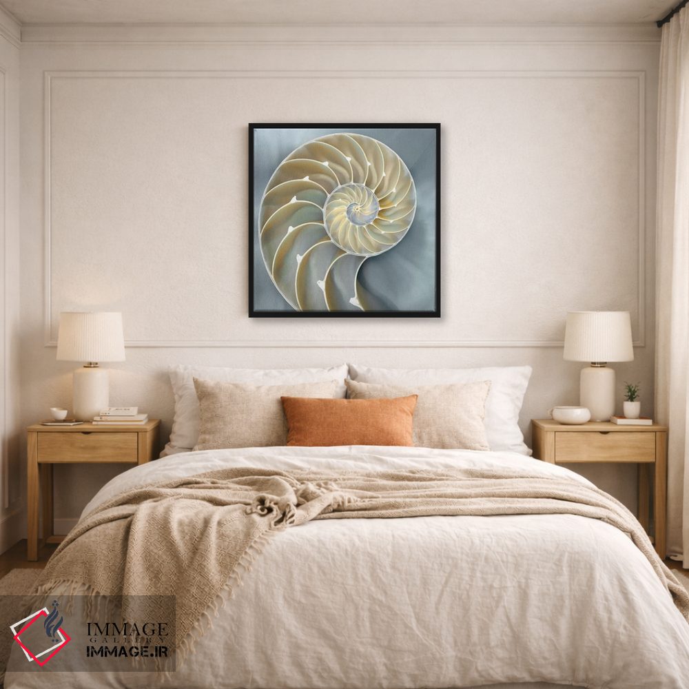 تابلو دکوراتیو ناتیلوس در آبی I اثر کارولین کلی - D5B