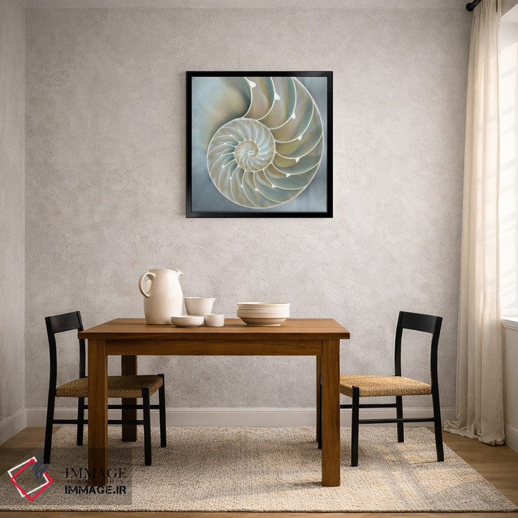 تابلو دکوراتیو ناتیلوس در آبی II اثر کارولین کلی - D4B
