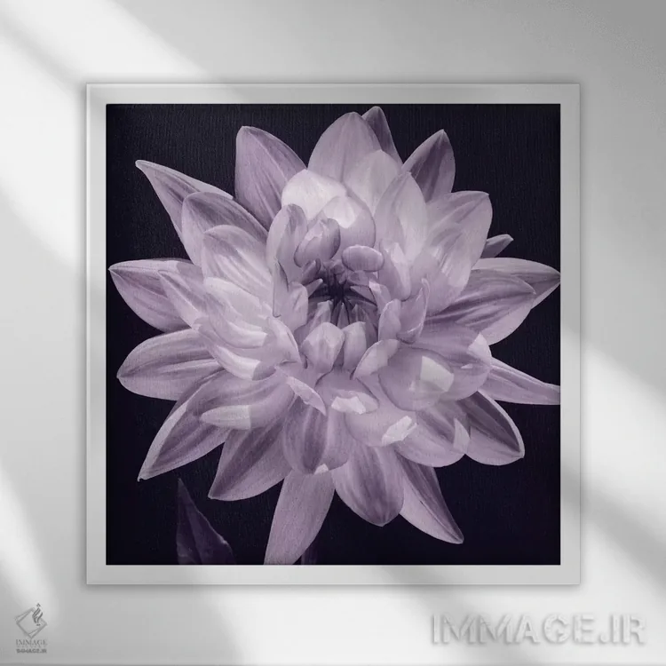 تابلو دکوراتیو دالیا سفید I اثر کارولین کلی - نمای قابدار سفید