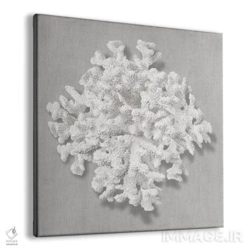 تابلو دکوراتیو مرجان روی خاکستری II اثر کارولین کلی - نمای پرسپکتیو محصول