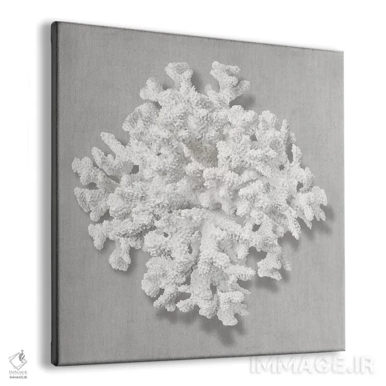 تابلو دکوراتیو مرجان روی خاکستری II اثر کارولین کلی - نمای پرسپکتیو محصول