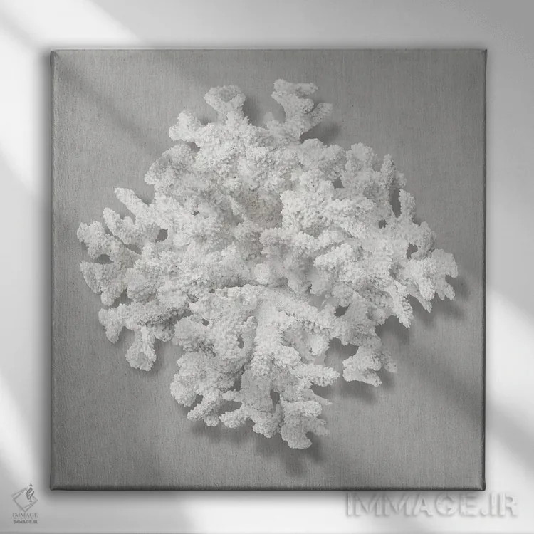 تابلو دکوراتیو مرجان روی خاکستری II اثر کارولین کلی - نمای روبهرو روی دیوار