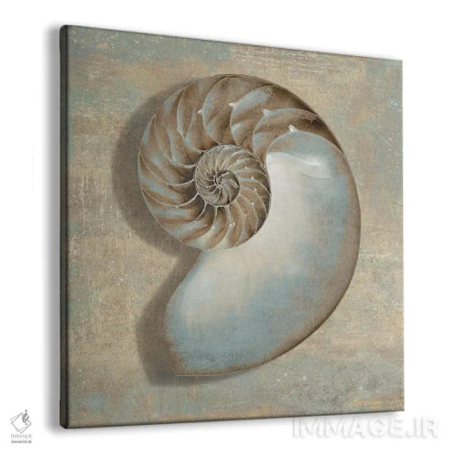 تابلو دکوراتیو ناتیلوس آبی اثر کارولین کلی - نمای پرسپکتیو محصول