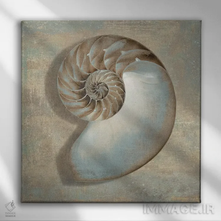 تابلو دکوراتیو ناتیلوس آبی اثر کارولین کلی - نمای روبهرو روی دیوار